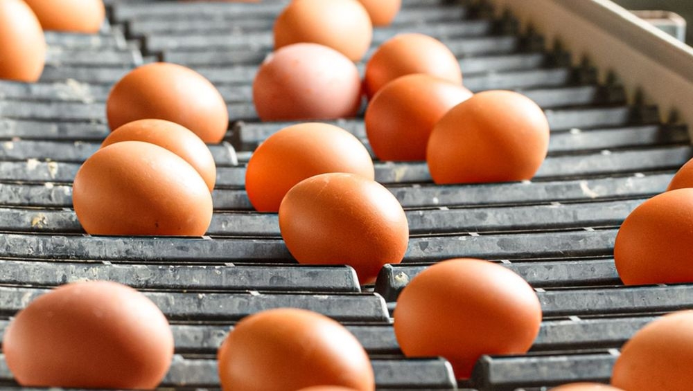 Eiproducten exponentieel duurder, vraag en aanbod helemaal uit evenwicht